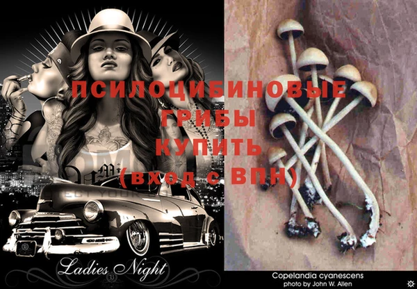 марки lsd Вязники